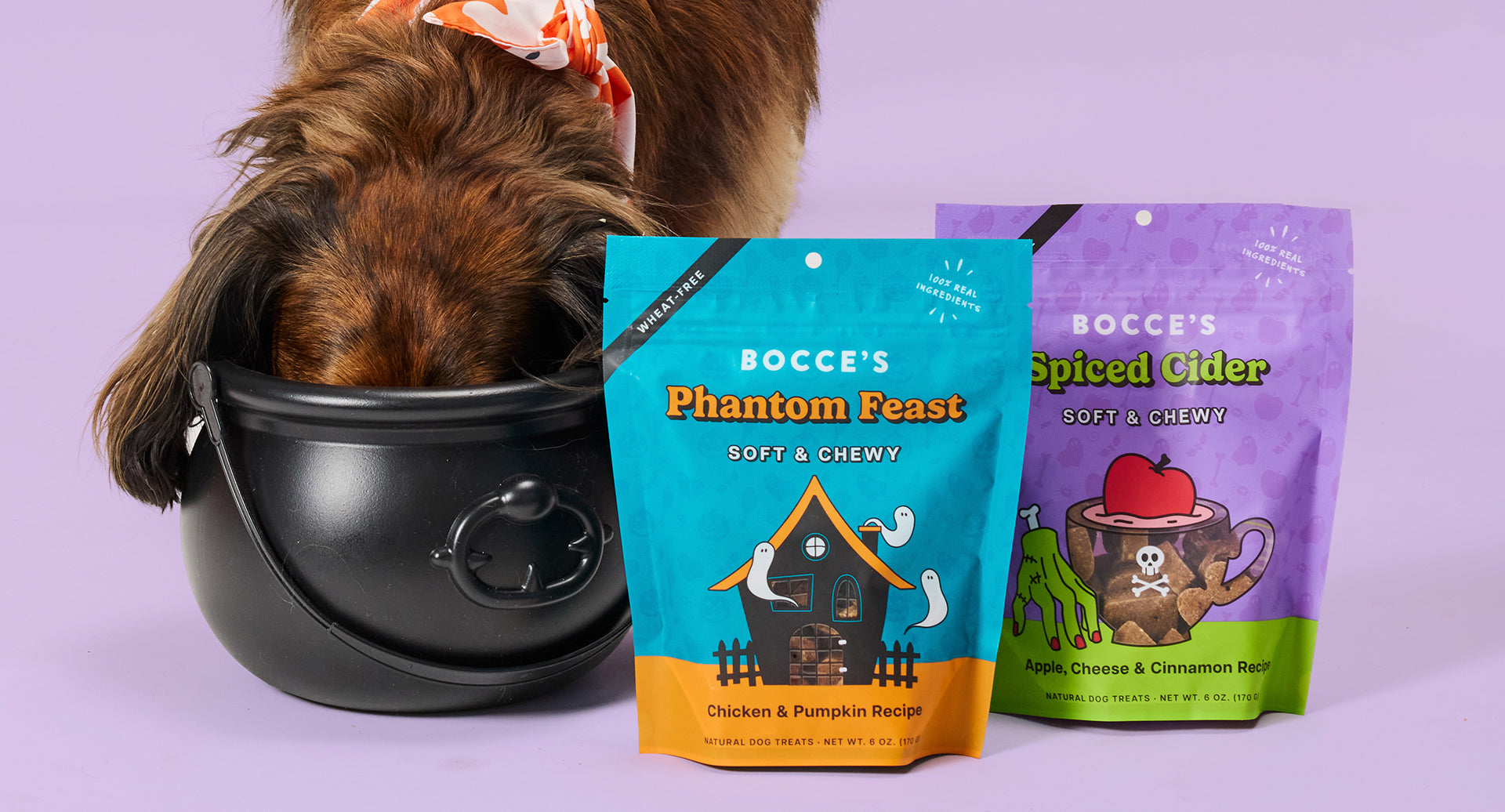 Halloween Recipes!