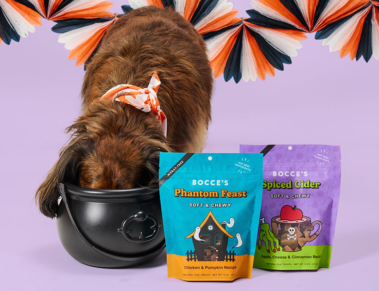 Halloween Recipes!