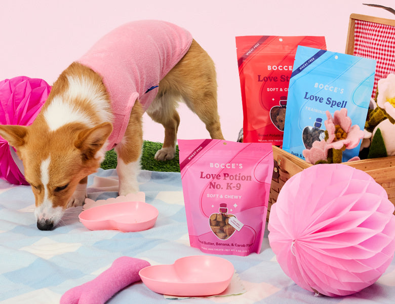 New Valentine's Day Recipes!