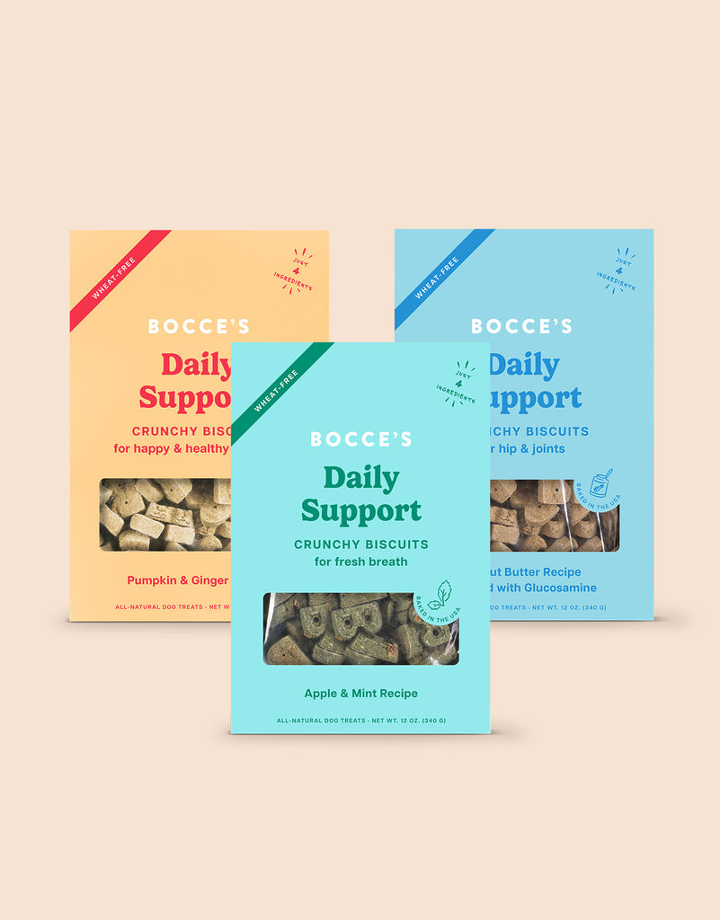 Basics Daily Support Assorted Box Bundle