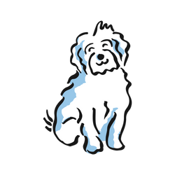 Dog Treats icon
