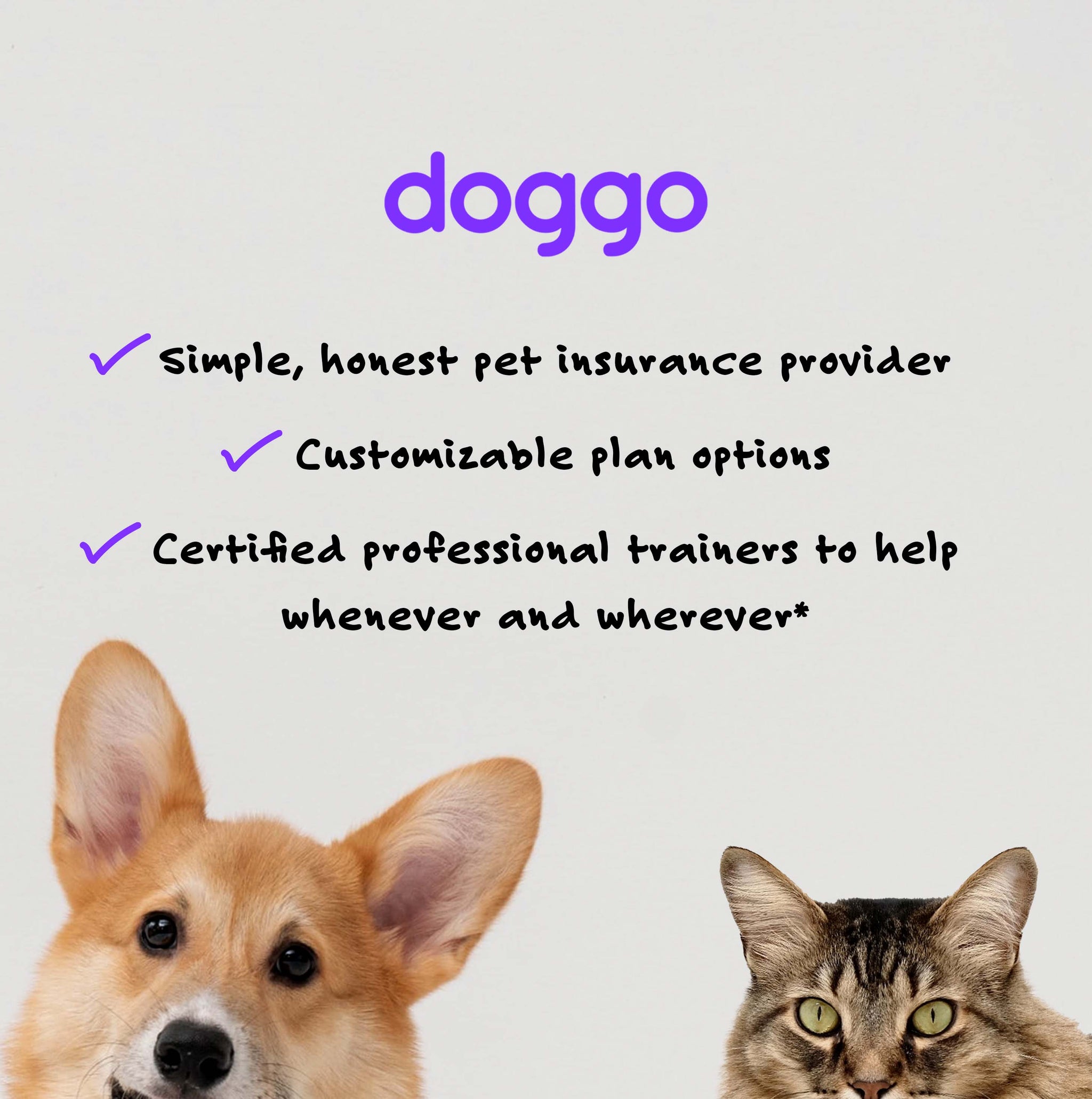 For Your Furry Family