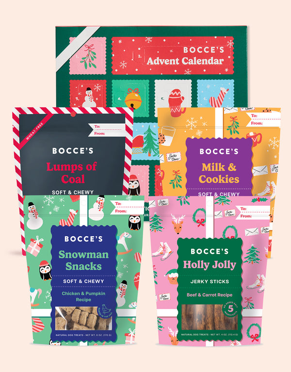 Everything But the Sleigh Dog Bundle