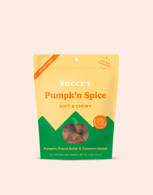 Pumpkn Spice Soft & Chewy Treats