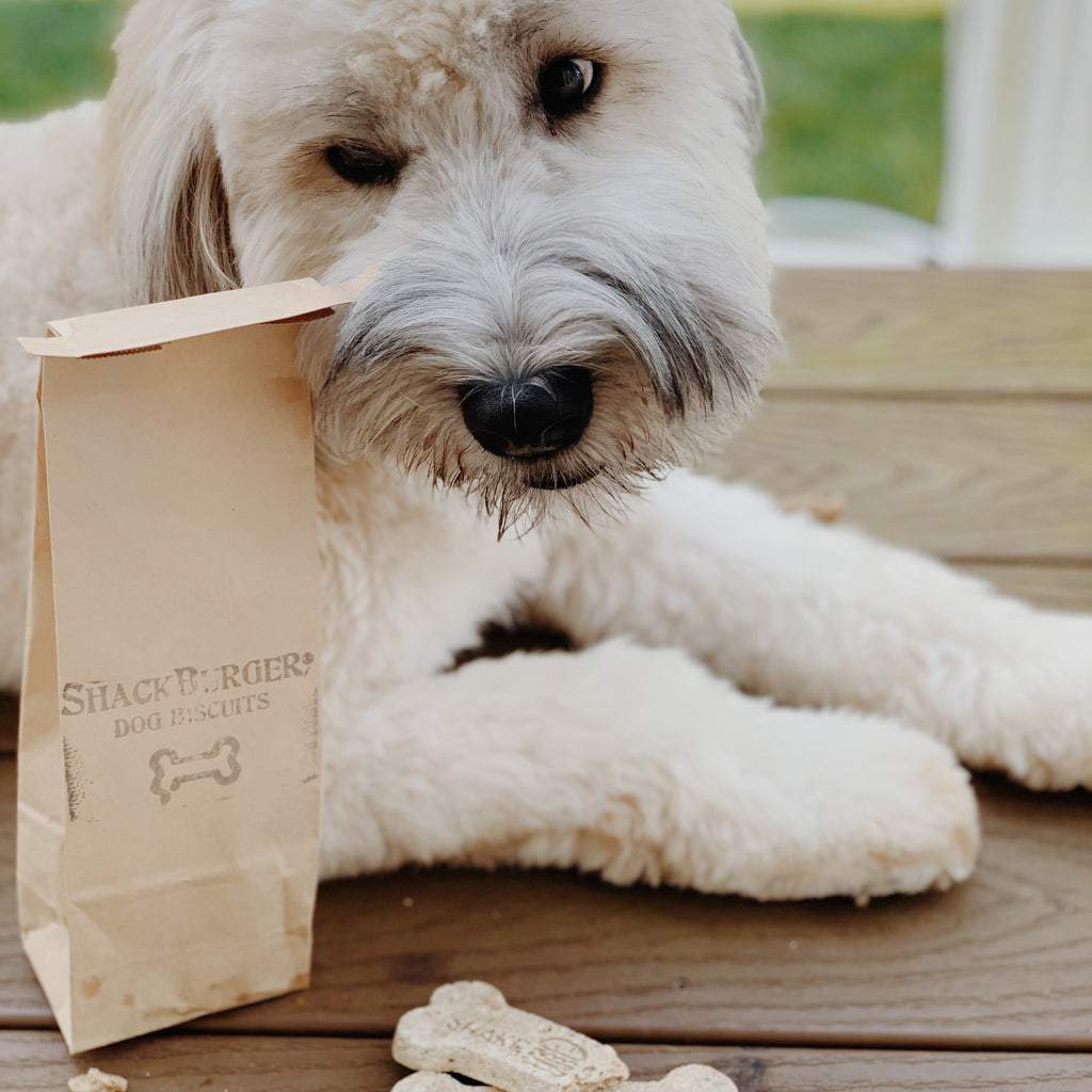Shackburger clearance dog biscuits