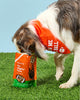 Who Dey Bundle