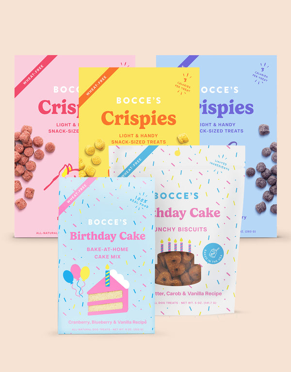 Ultimate Birthday Party Kit Bundle