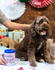 Nutcracker Crunch Soft & Chewy Treats Tin